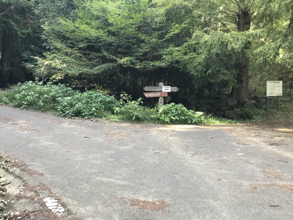 左はハイキングコース、右は舗装された道路のコース