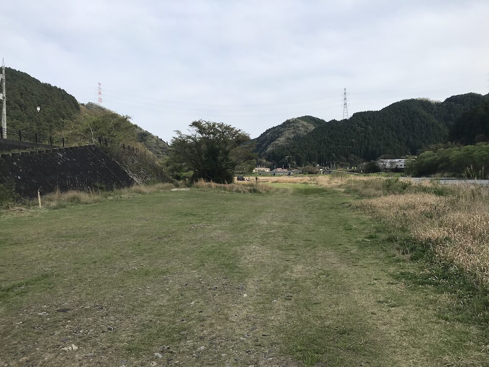 公園は一面芝生になっており、とても広いです