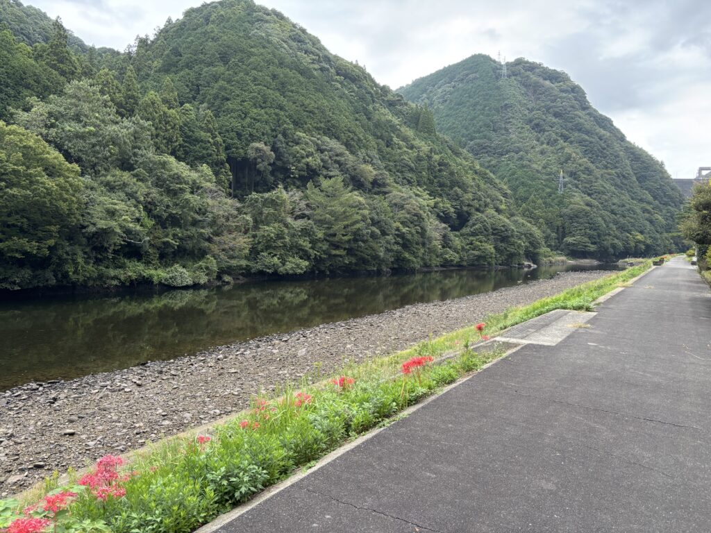 近くを阿武川が流れています